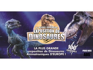 Dinosaures: Le Cannet accueille le Musée Éphémère®