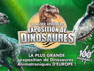 Dinosaures: Troyes accueille le Musée Éphémère®