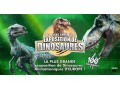 dinosaures-colmar-accueille-le-musee-ephemere-small-0